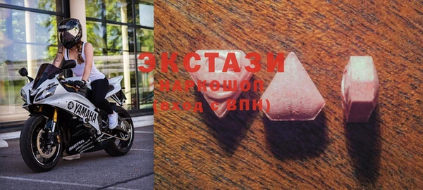 индика Новодвинск