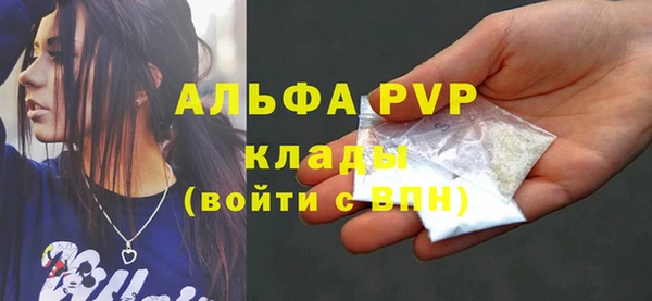 a pvp Новозыбков