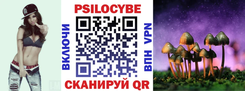 Купить закладки  Братск  Псилоцибиновые грибы прущие грибы 