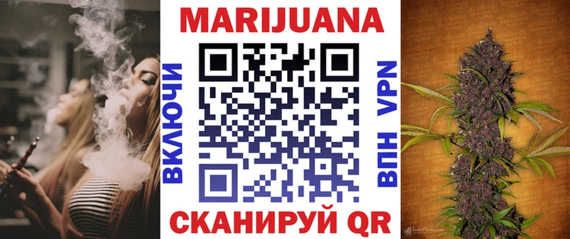 Бошки марихуана планчик  Купить где  Братск 